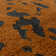 Alaisdair Splash Abstract Orange Black Area Rug
