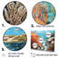 Corail et anémone III - Ensemble d'art mural corail sous l'eau-107756406-107756411