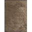 Rapture Abstract Area Rug in Brown-586392712