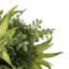Buisson de succulente artificielle