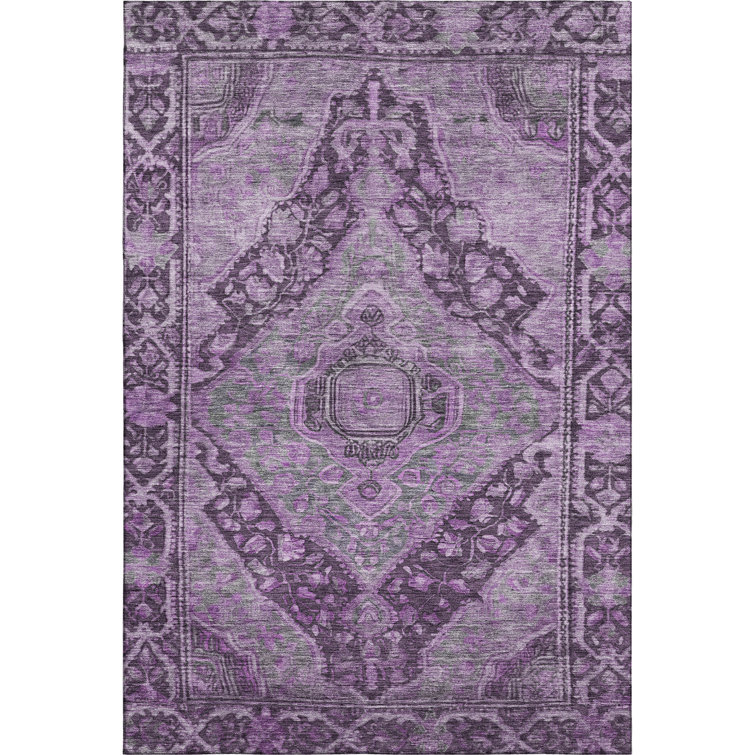 Premium Machine Washable Lucchesi AMF1761 Border Rug