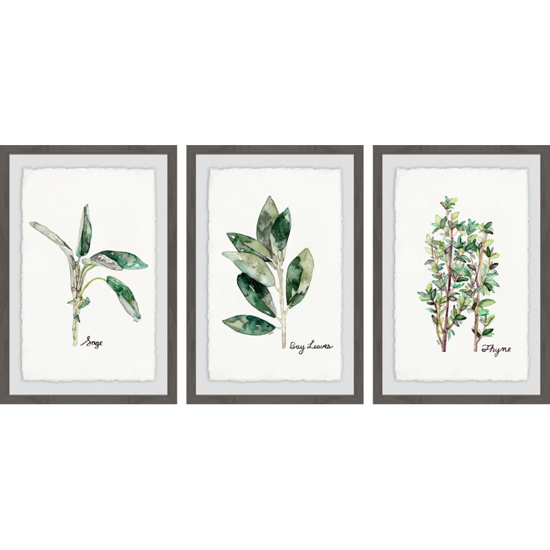 «Herb Trio Triptych» par Rachel Byler - Ensemble de 3 reproductions de cadres photo, H 36 po x l 24 po