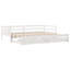 Blasingim Solid Wood Daybed with Trundle-718935424-718935437