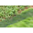 Rockmart Plastic Pet Barrier