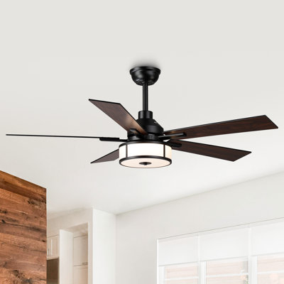 52" Modern Parchment-Textured 3CCT LED Caged Ceiling Fan with Remote Control, Double Sided Blades, 6-Speed