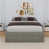 Gris antique