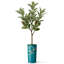 Arbre artificiel en fleur noire et blanche-104345538