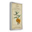 Linnaean Botany III - Peinture sur toile encadrée-817435060-817435071