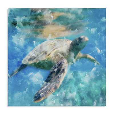 Aquarelle, "Sea Turtle", art mural encadré flottant doré par Kim Allen