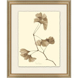 Ginkgo Print
