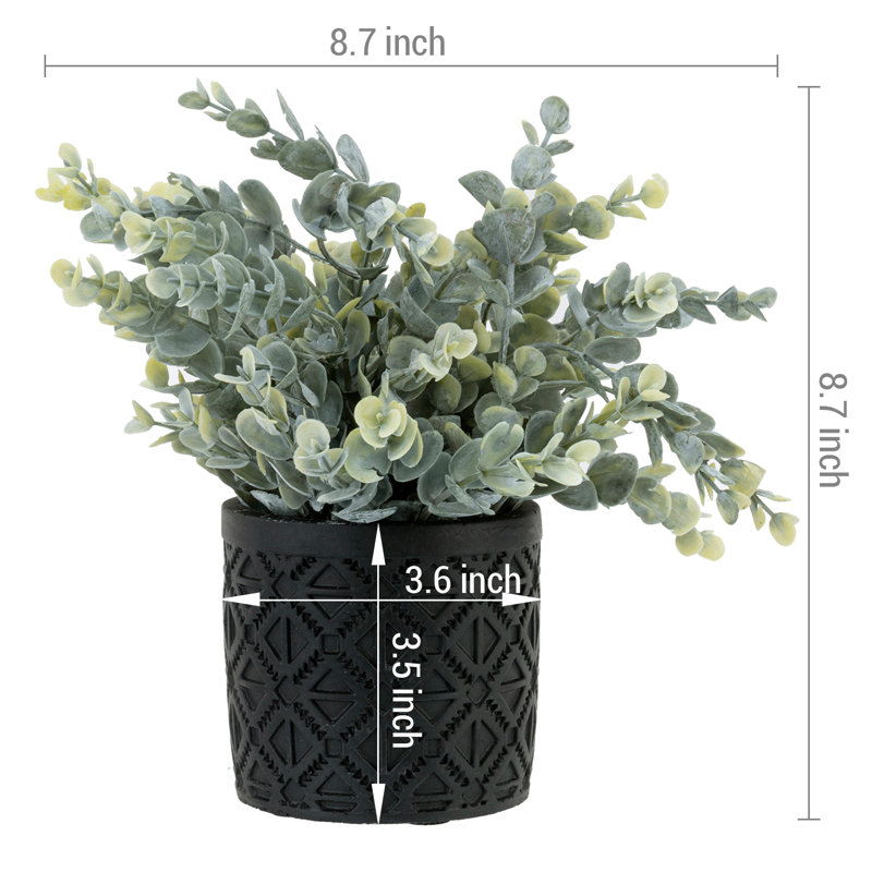 2 - Piece Artificial Eucalyptus Plants in Black Pot Set