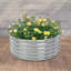 Parterre de fleurs W42 "-1160484441
