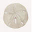 Sea Shell 8 Print-1968828669-2007062255