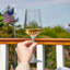 Vintner Glass White Wine Glass