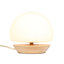 Mijan Solid Wood Novelty Lamp