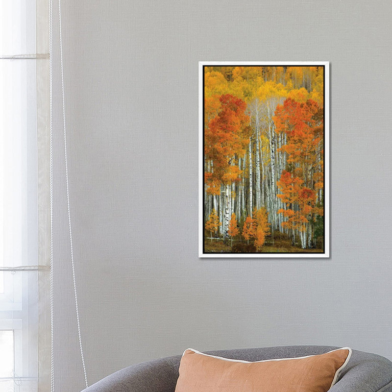 Dalmatian Autumn 1 Piece Wall Art on Canvas, 66.04 cm H x 45.72 cm W, White Framed