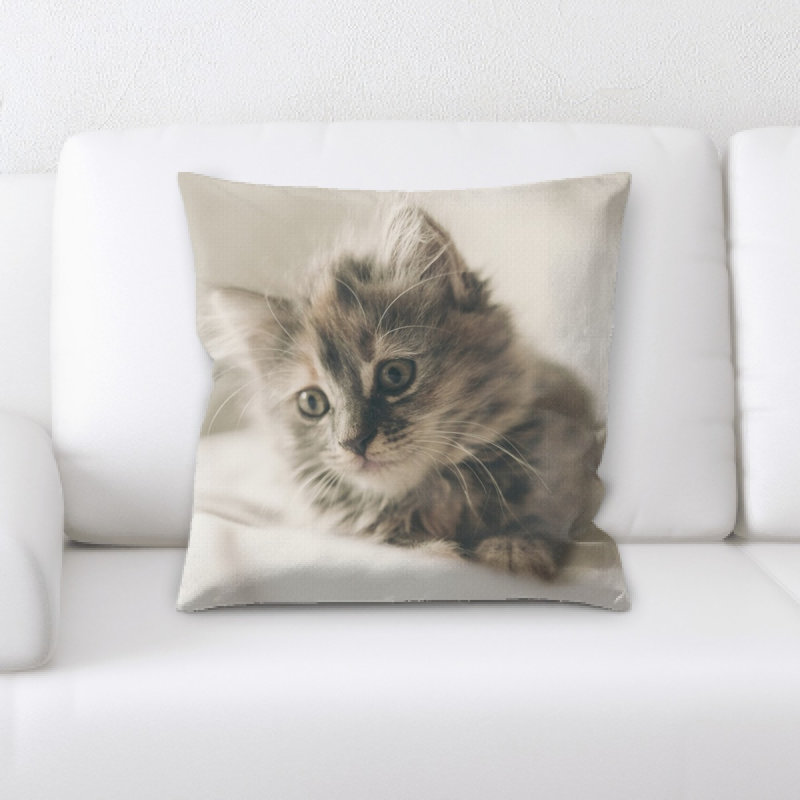 Coussin chat