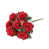 Red n'est pas disponible