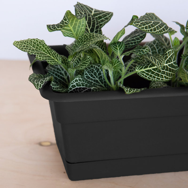 Dura Cotta Traditional Plastic Indoor/Outdoor Rectangle Window Box Planter with Attached Saucer, Black