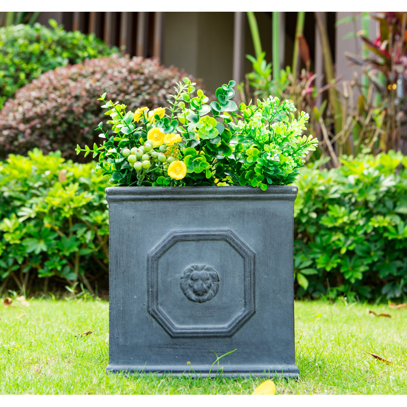 Boîte à fleurs en béton Hillevi, Gris antique, H 12,6 po x l 12,6 po x P 12,6 po