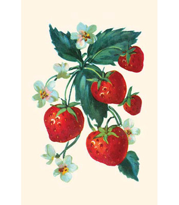 « cinq fraises et fleurs », impression