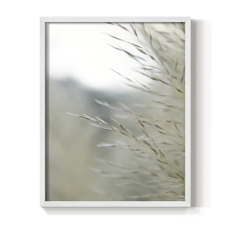 Reproduction encadrée d'herbes subtiles III - bois massif, Blanc, H 28 po x l 22 po