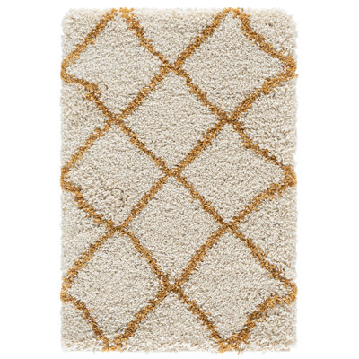 Araujo-Espichan Performance Geometric Rug