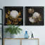 Cotton Balls I - Cadre photo-1492861058-1492861059-1492861060