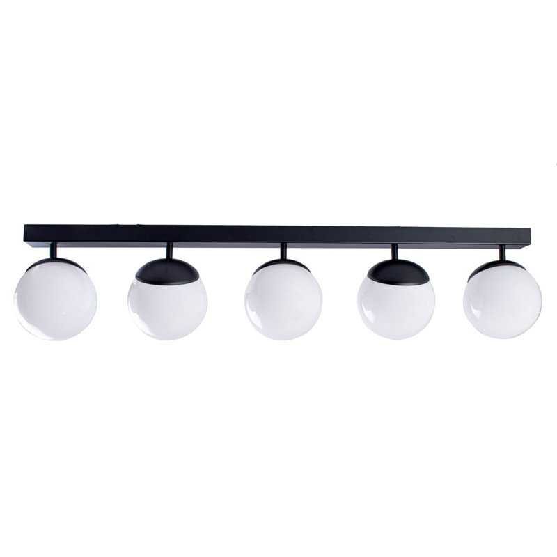 Muskingum Spotlight, Black
