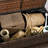 Outsunny Outdoor Deck Box & Shoe Storage