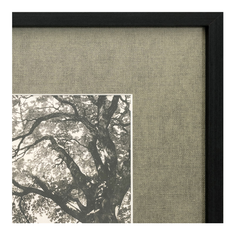 Arise Framed Print