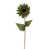 Olive est en rupture de stock