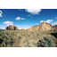 Wilderness by Sylvia Cook - Wrapped Canvas Print-1851616352