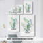 Eucalyptus bleu II - Cavas enveloppés de galerie-95075583
