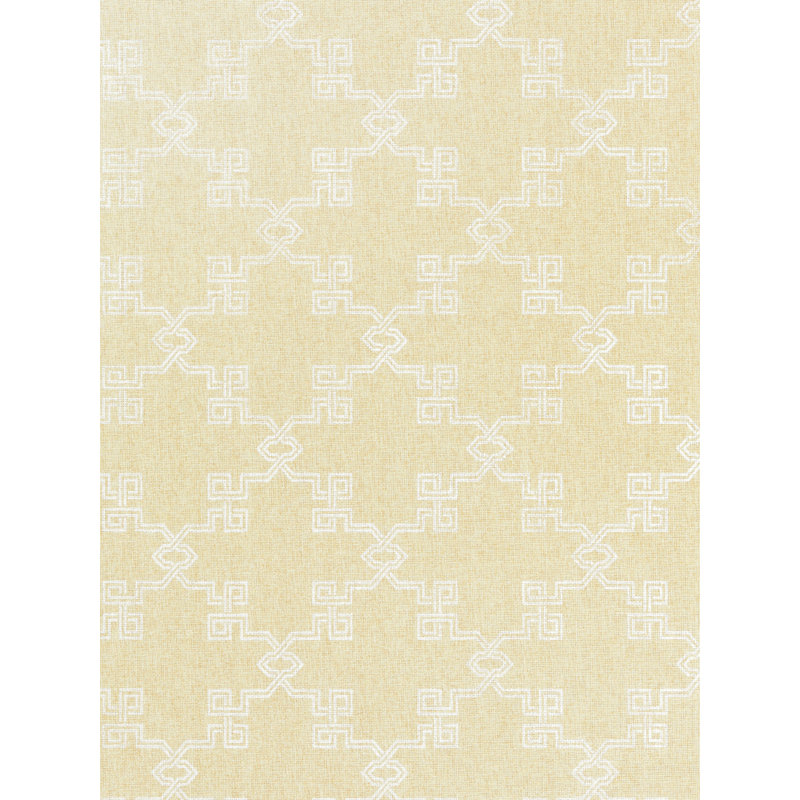 Suzhou Lattice Raffia Weave