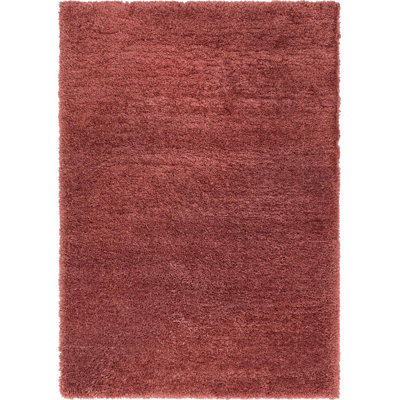 Indoor Rug