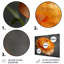 Décoration murale orange et noir Ranunculus Bloom I - Renoncule-523334196-523334207