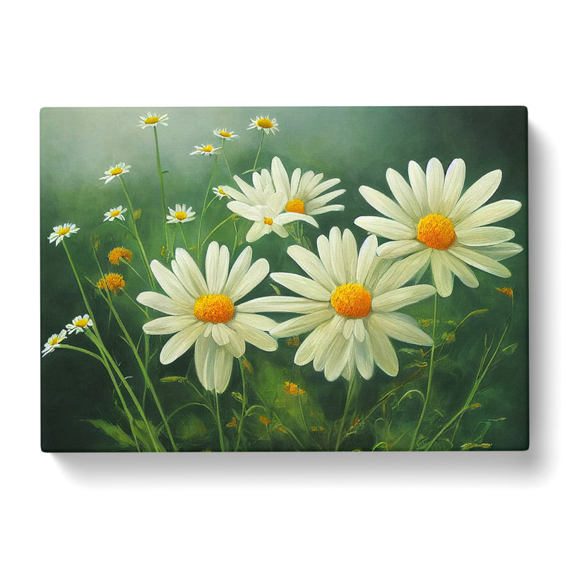 Daisy Flower - Wrapped Canvas, 35cm H x 50cm W x 3cm D