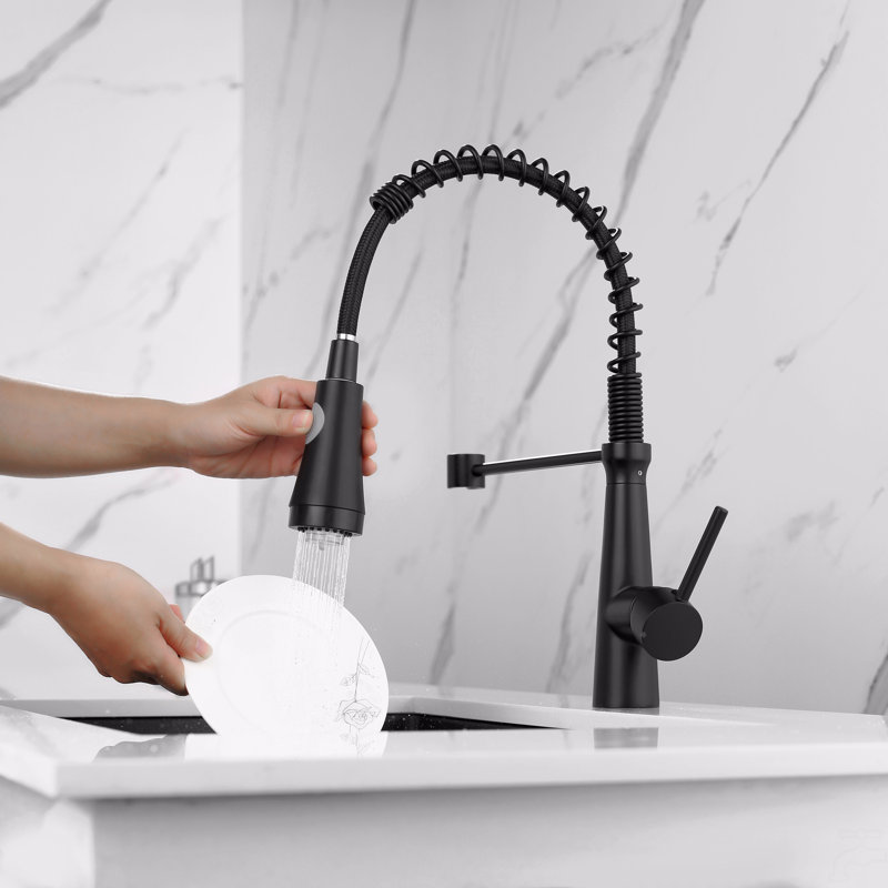 Robinet de cuisine avec douchette rétractable, robinet d'évier de cuisine à poignée simple