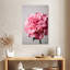 Hortensia rose-302313786