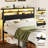 Full Bed Frame With LED Lights, Platform Bed With Headboard, Charging Station, Black-808628275