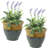 Ailynn Round Imperial Ceramic Outdoor Planter-1857609949-1857609945