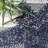 Thomas Paul Starfish and Striped Gray Rug-48116424