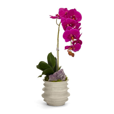 Orchid in Container with Amethyst