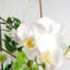 Artificial Arrangement in Planter