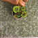 Allsopp Area Rug