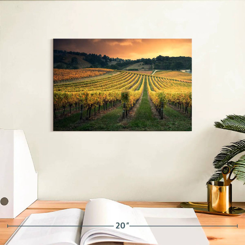 Alvord Golden Australian Vineyard, H 8 po x l 12 po