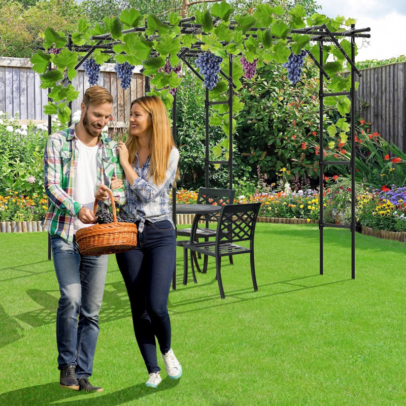 Tall Black Metal Garden Arch Trellis for Climbing Plants