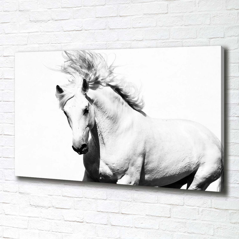 White Horse - Wrapped Canvas Print