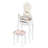 Cindy Vanity-1390148754